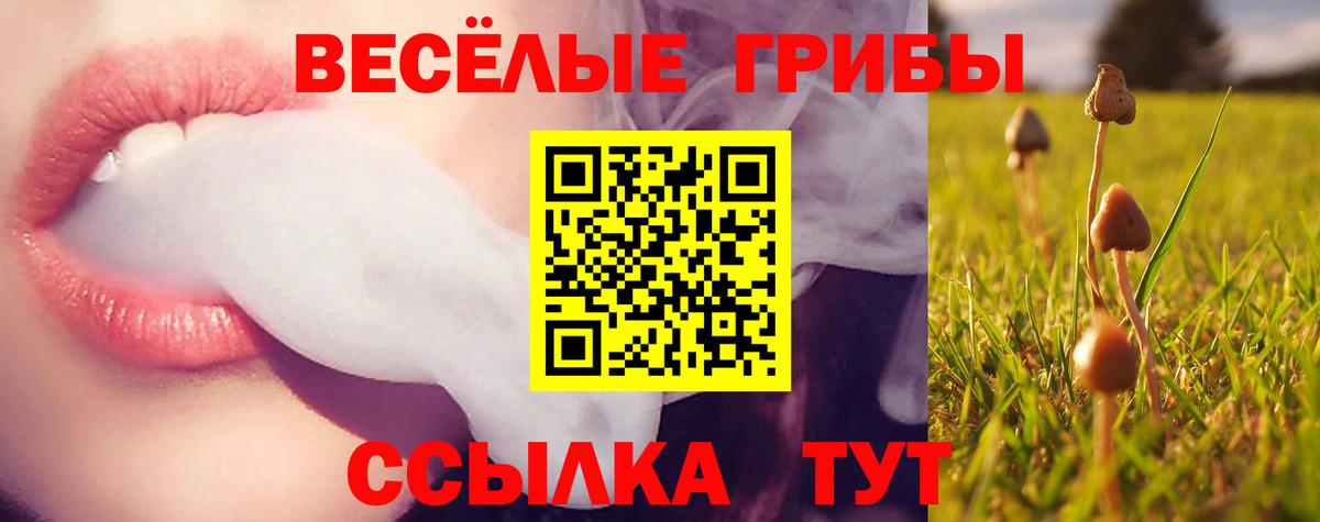 Псилоцибиновые грибы прущие грибы  продажа наркотиков  Псилоцибиновые грибы ЛСД  Кропоткин  Вход с VPN 